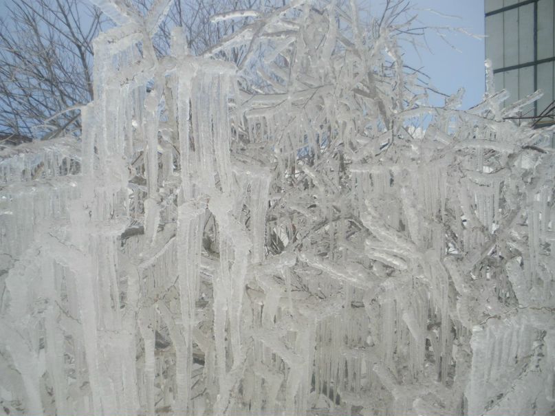 Юлия Шунина | Луостари Верхнее