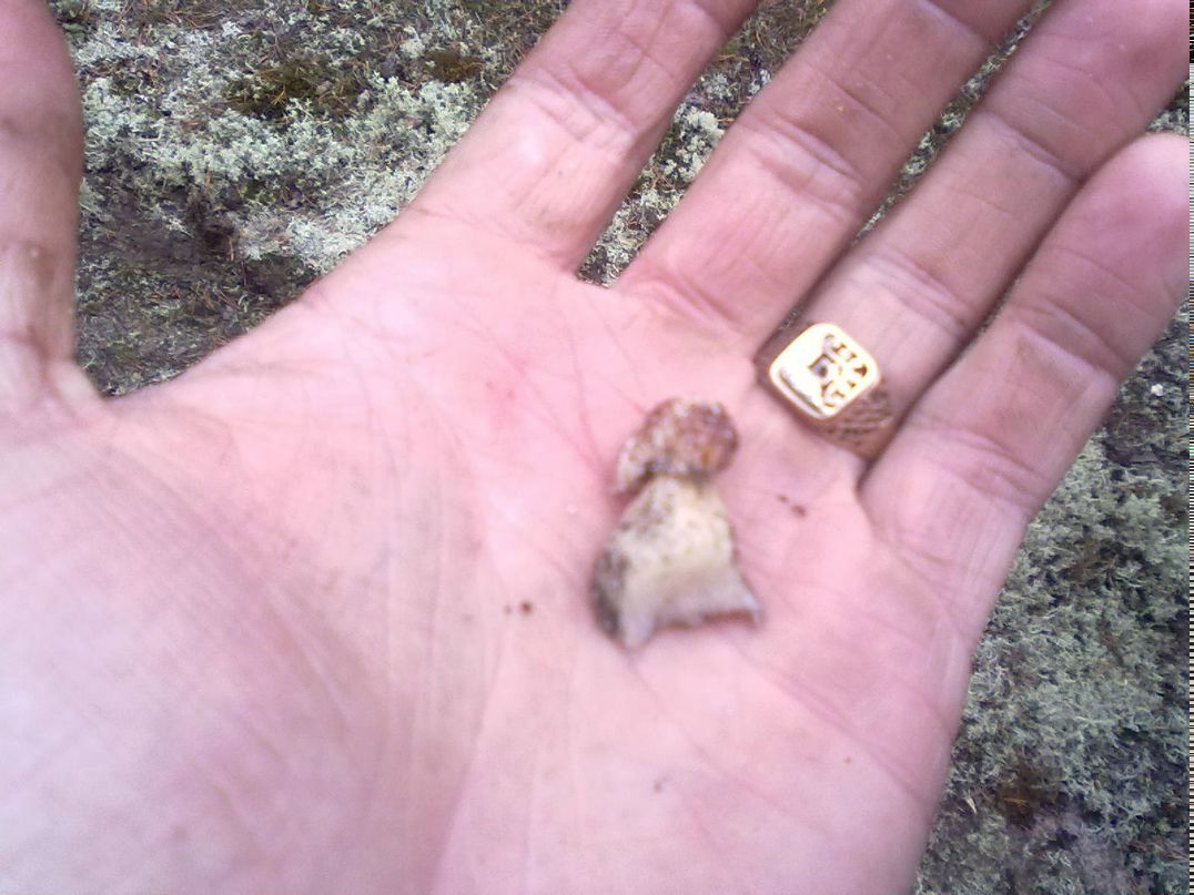 Андрей Заозерский Николаевич | Архангельск