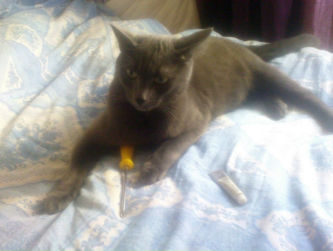 Юрий Cosmic | Москва