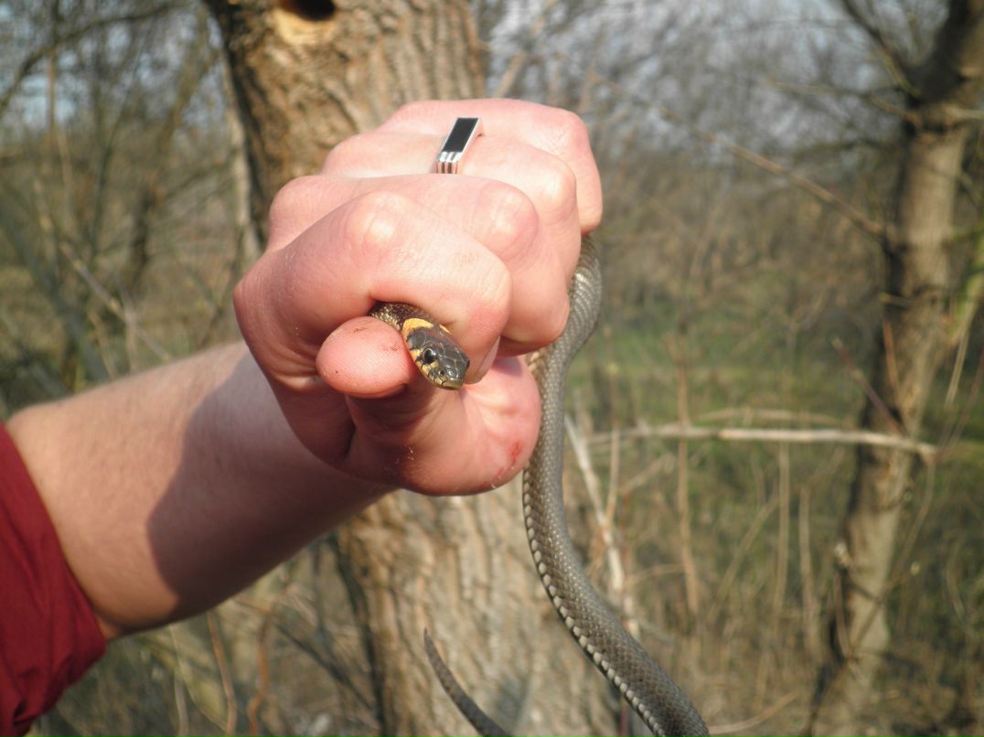 Сергей Журавлёв | Луганск