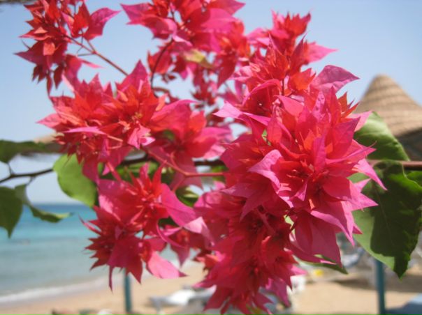 №92, Юлечка Собкова, 29 лет, Киев №92, Юлечка Собкова, 29 лет, Киев