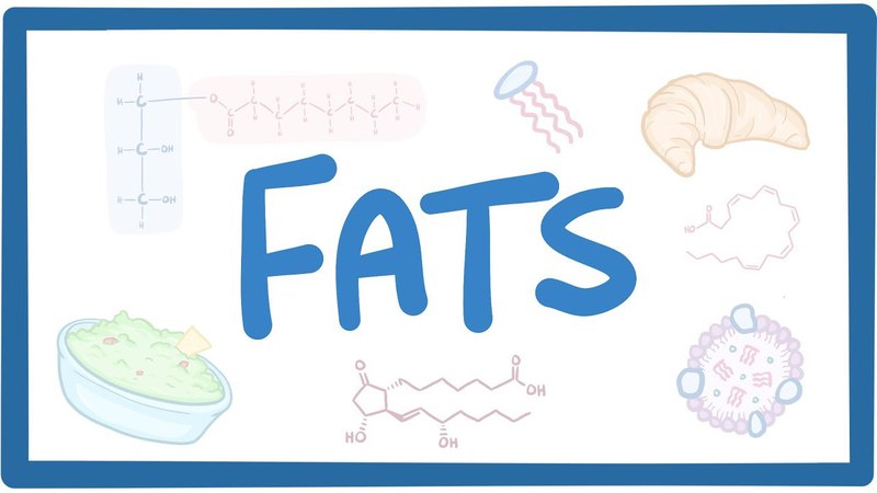 Fats