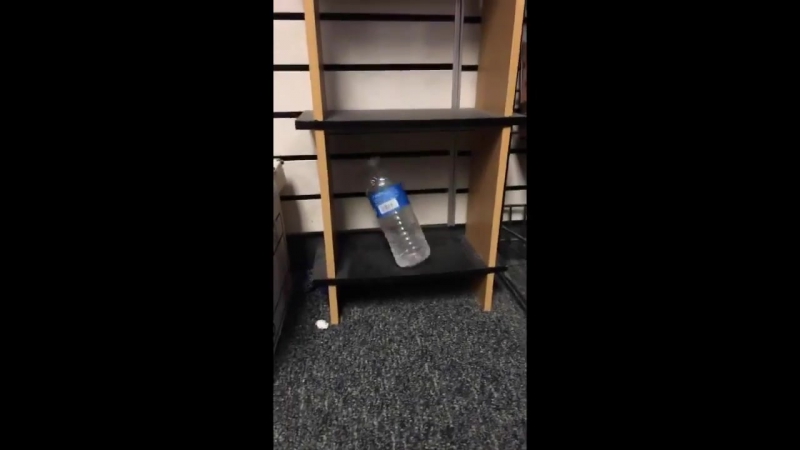 Water Bottle