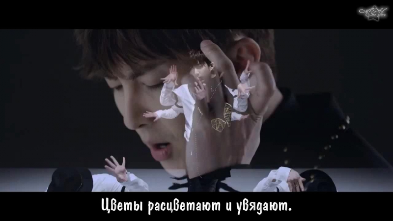 Rusub Double S 301 ( SS501, SS301 ) PAIN РУС.
