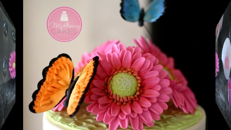 To Make a Gumpaste Gerber Daisy; A Mc Greevy Cakes