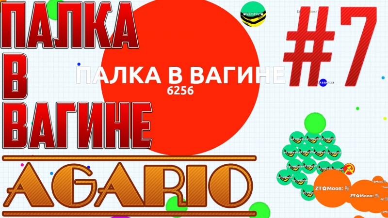7, ПАЛКА В ВАГИНЕ, STICKS IN