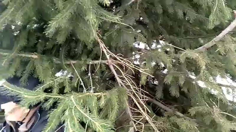 Қисса