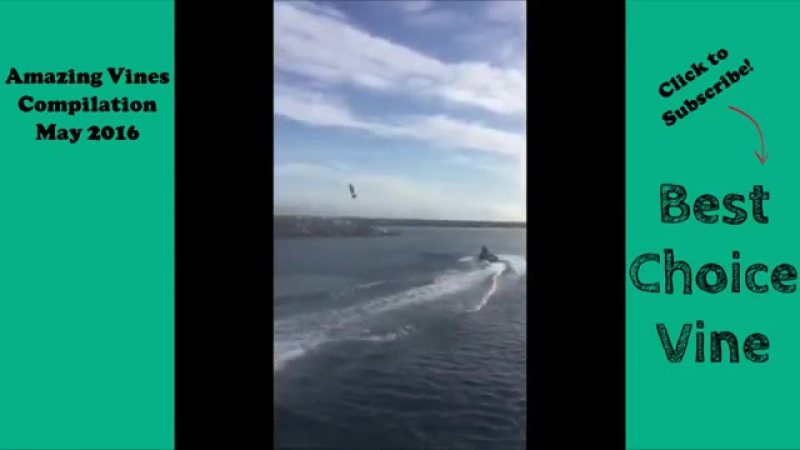 Amazing Vines Compilation May 2016 Best Choice