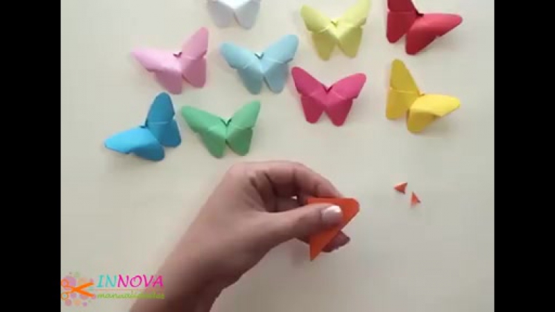 Бабочки, очень красивые
