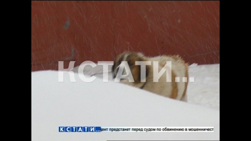 Убийство за компанию мать и ее 14 летний сын, насмерть забили