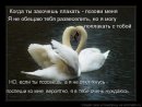 Фотография Венера Еникеева