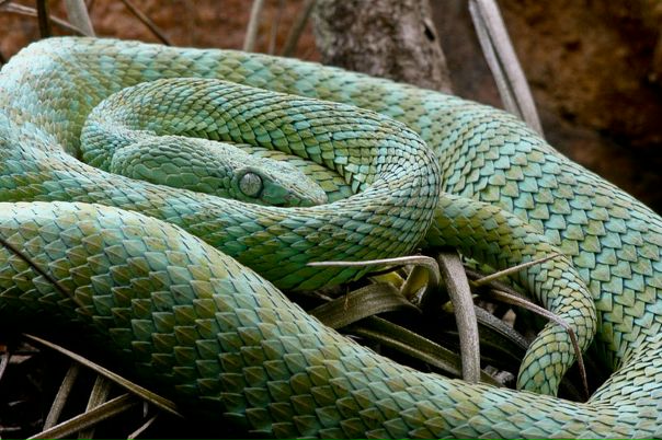 №53, Эмиль Загитов, Уфа №53, Эмиль Загитов, Уфа