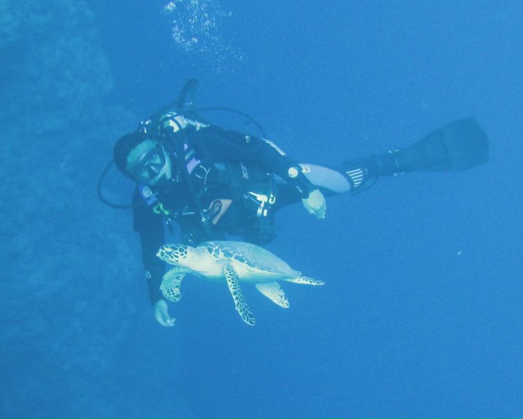 №19, Адам Алй, 40 лет, Sharm el-Sheikh №19, Адам Алй, 40 лет, Sharm el-Sheikh