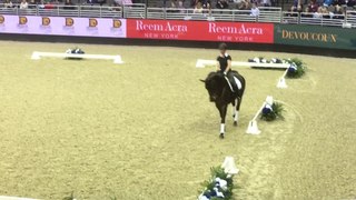 lsabell Werth master class Omaha 2017 part 5