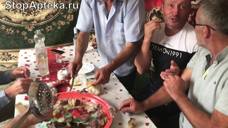 Самоправка души и тела Шествие СтопАптеки