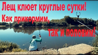 Лещ клюет круглые сутки! Как прикормим, так и половим!