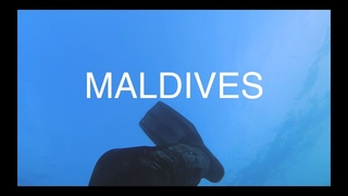 Underwater world of the Maldives