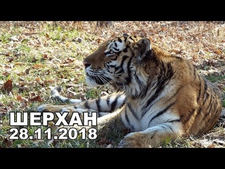 ШЕРХАН