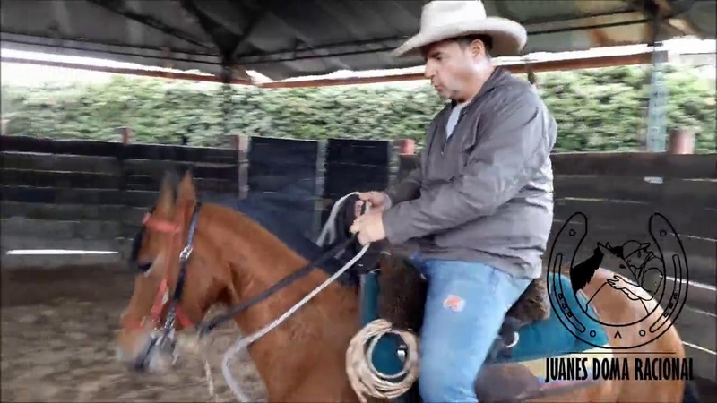 DOMA RACIONAL JUAN ESTEBAN