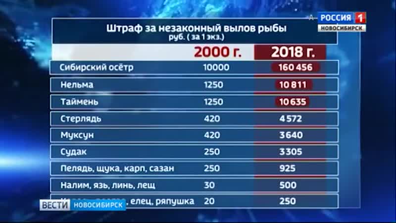 Новые штрафы за вылов рыбы вступают в силу в России с 17