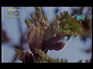 براهين الإيمان ومعجزاته ( 2 ) كيف نكسب اليقين - 