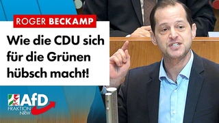 Die CDU grünt sich ein!