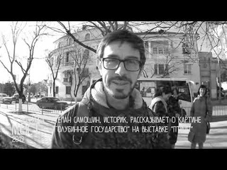 ПТИЦЫ  ЦГБ им  Л Н  Толстого  Степан Самошин о картине гОлубинное государство