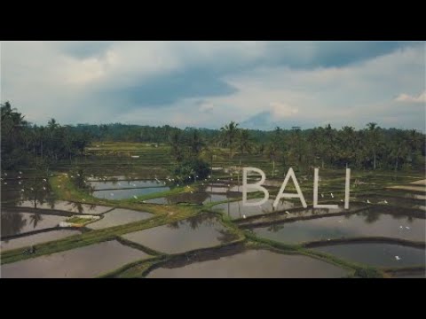 Bali Fire Dance Retreat 2020
