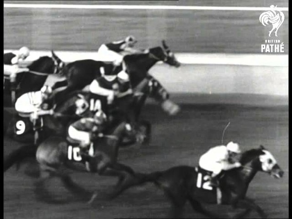 Santa Anita Sensation