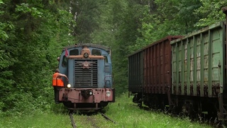ТГМ1 в промзоне Очаково #tgm1 #locomotive #train #тгм1