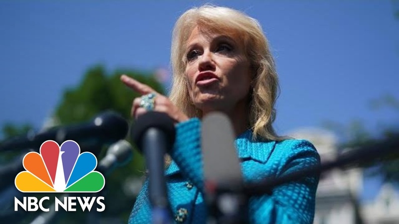Kellyanne Conway To Reporter: Whats Your Ethnicity While Defending Trump Comments, NBC