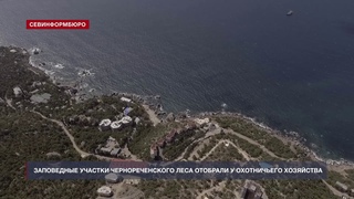 Арбитражный суд вернул Севастополю участки заказников в Чернореченском лесничестве