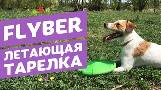 Flyber | Флайбер Летающая тарелка для собак | Обзор зоотоваров