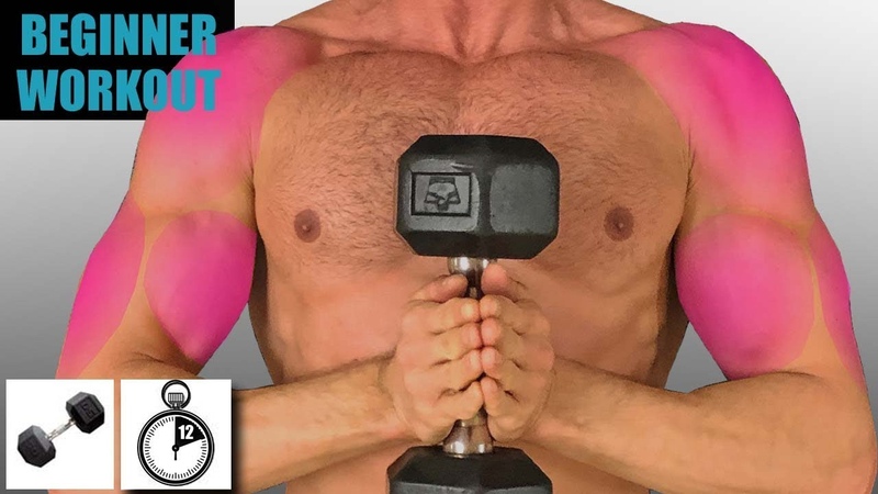 BEGINNER ARM AND SHOULDER WORKOUT FAST ONLY 12