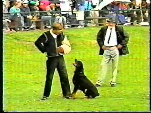 1994 Rottweiler ADRK Körung 1994 Part