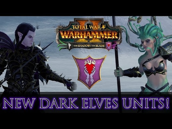 NEW DARK ELVES UNITS Close Up Stats Guide, The Shadow The Blade DLC Total War: Warhammer