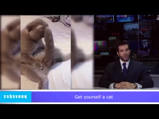 Совет Котонам
