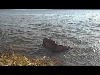 Господь Пастырь мой/Пс.22-Максим Карасенко/Александр Шахтарин и Ко...