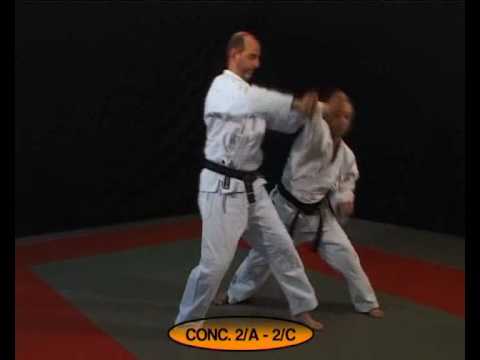 TECNICHE DI JU JITSU