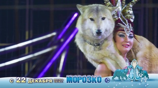 НОВОГОДНЕЕ ЦИРКОВОЕ ШОУ МОРОЗКО в УСК ЦСКА