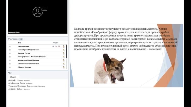 Коллапс трахеи. Симптомы. Диагностика.
