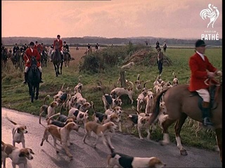 Hunting Story (1963)