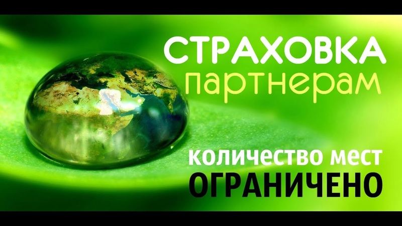 Тестируем вместе робот советник Very Intensive Profit ( VIP) Wall Street Bot со