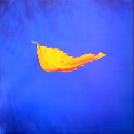 №32, Дмитрий Шевчук, 32 года, Новороссийск №32, Дмитрий Шевчук, 32 года, Новороссийск