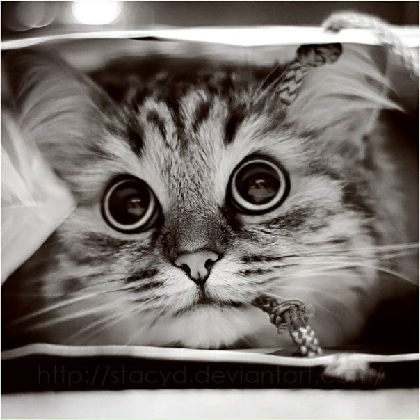 №67, Анна Бойко, 04.01.1982, Днепр (Днепропетровск) №67, Анна Бойко, 04.01.1982, Днепр (Днепропетровск)