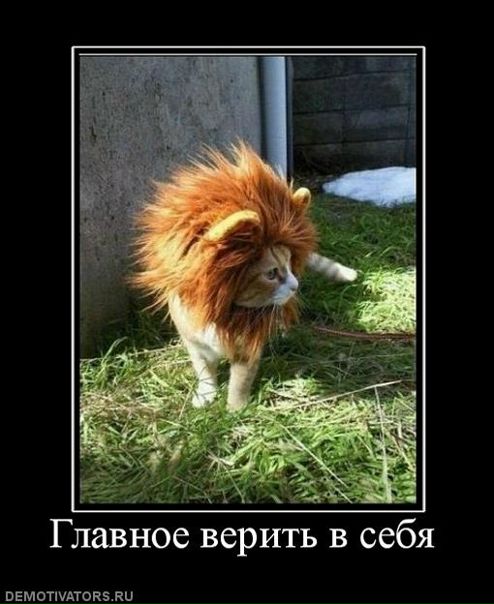 №177, Иван Вениаминович, Снегиревка №177, Иван Вениаминович, Снегиревка