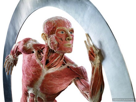 №100, Яна Авраменко, Харьков №100, Яна Авраменко, Харьков