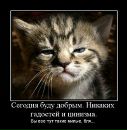 Фотография Евгений Соколов