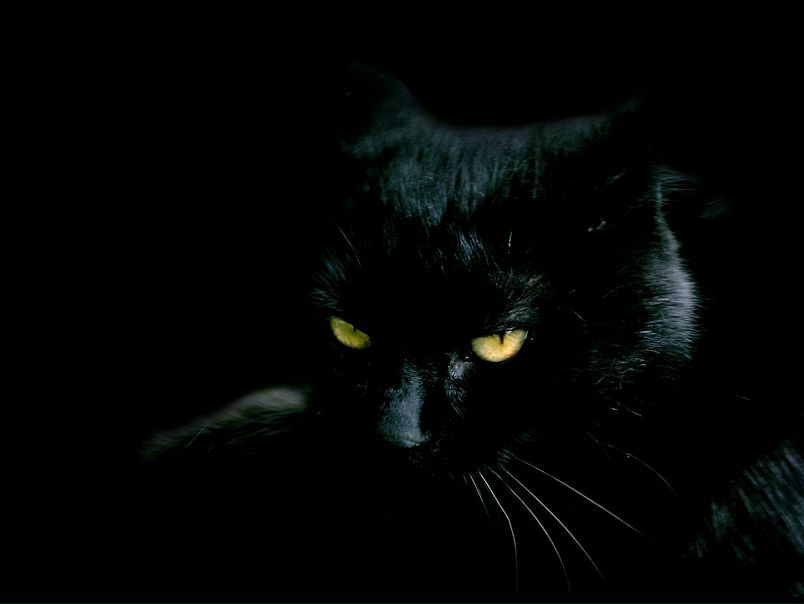 №16, Helen Moody, Витебск №16, Helen Moody, Витебск