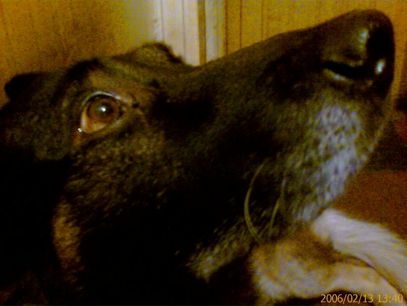 №92, Александр Голюк, Санкт-Петербург №92, Александр Голюк, Санкт-Петербург